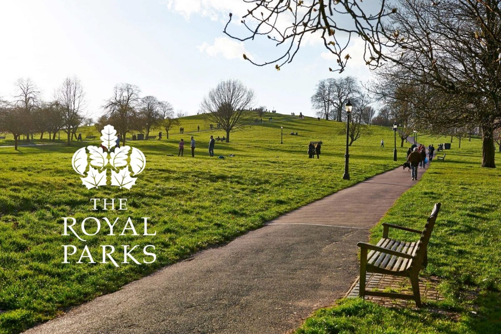 Manufacturing the Regents Park bespoke wooden benches | Woodcraft UK