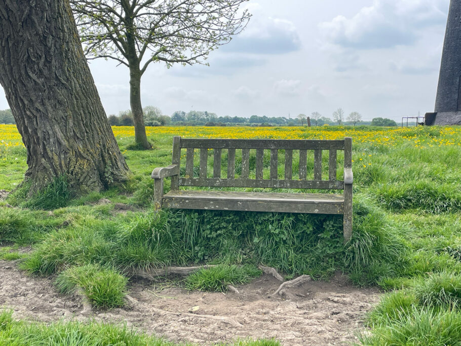 Woodcraft UK and our Wooden Park Benches on Beverley Westwood
