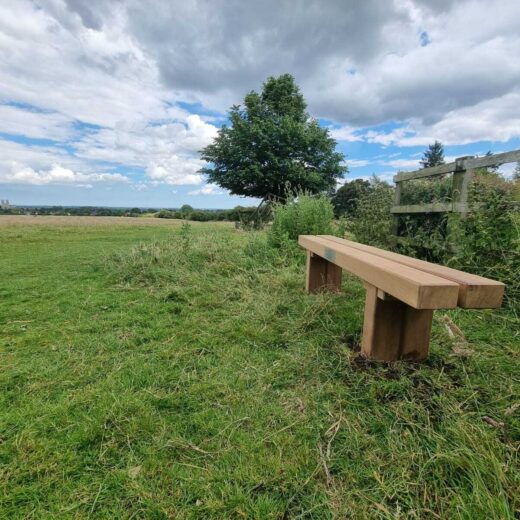 The Wykeham park bench