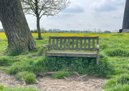 The old weathered York bench