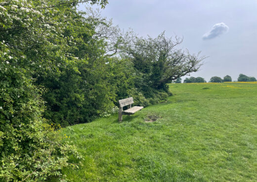 Nestling in Beverley Westwood park, the Staxton Bench