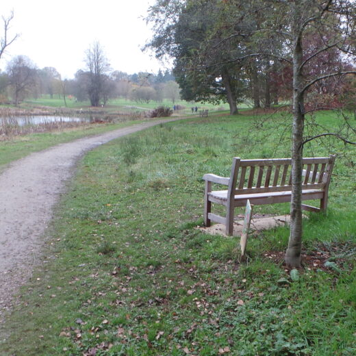 A great view of the lake from our bench at the Yorkshire Arboretum