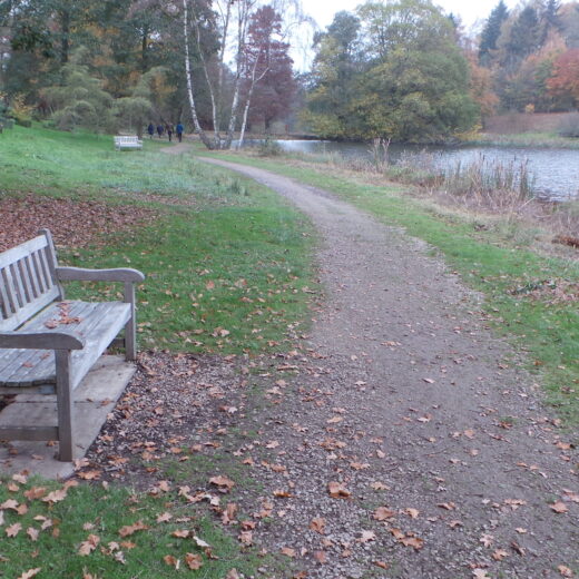 Overlooking the lake, our eooden bench at the Yorkshire Arboretum