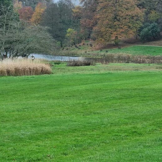 The lake at the Yorkshire Arboretum