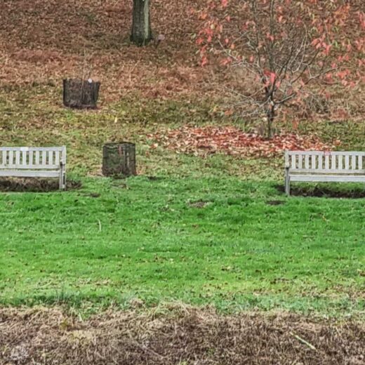 Essential stop off points. Our lakeside wooden benches at the Yorkshire Arboretum