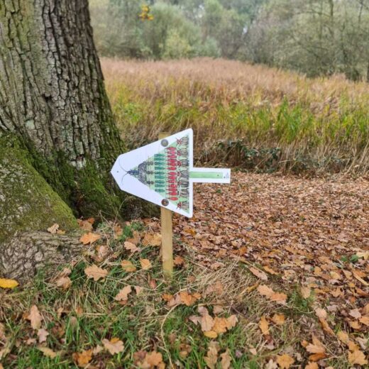 A trail at the Yorkshire Arboretum