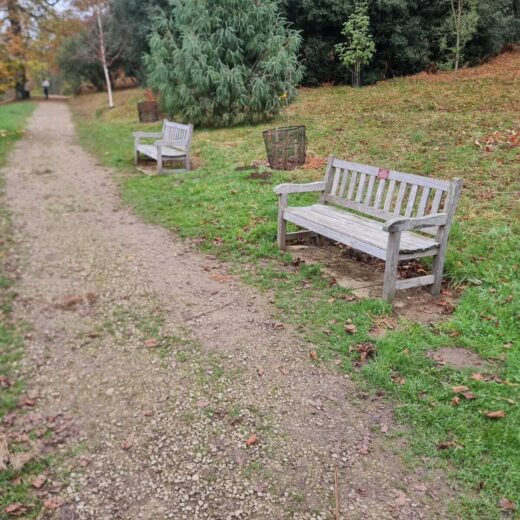 Wooden benches lining the path at the Yorkshire Arboretum