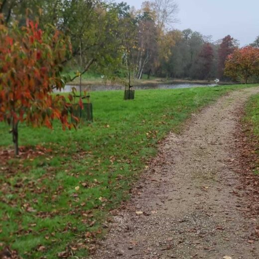 The bug trail at the Yorkshire Arboretum