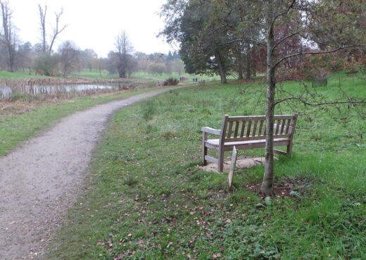 A great view of the lake from our bench at the Yorkshire Arboretum