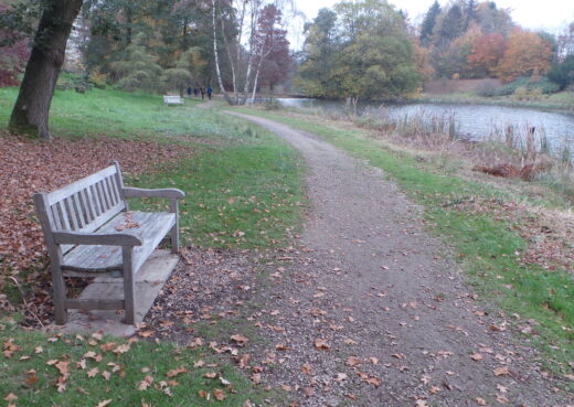 Overlooking the lake, our eooden bench at the Yorkshire Arboretum