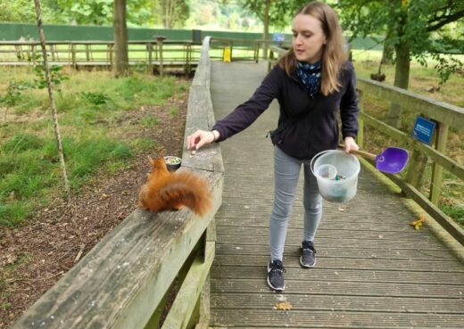 Very tame, feeding the red squirel at the Yorshire Arboretum