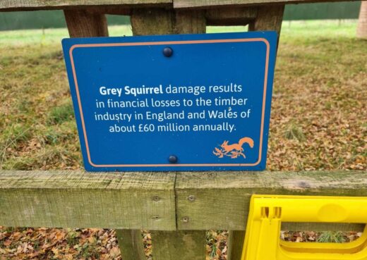 Sign for the red squirel at the Yorshire Arboretum