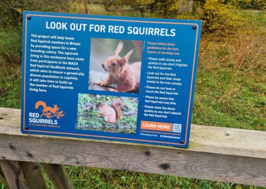 Signage regarding the red squirel at the Yorshire Arboretum