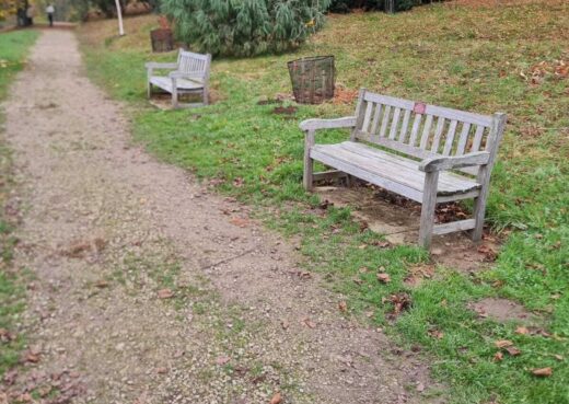 Wooden benches lining the path at the Yorkshire Arboretum