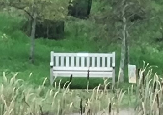 Our old bench at the Yorkshire Arboretum